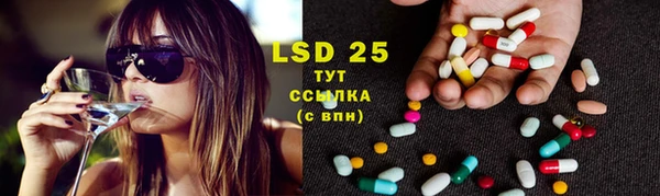 spice Аркадак