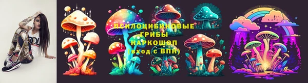 прущие грибы Ельня