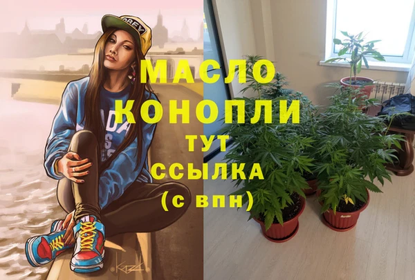 spice Аркадак