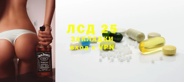spice Аркадак