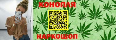хмурый Дубна