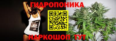 индика Донской