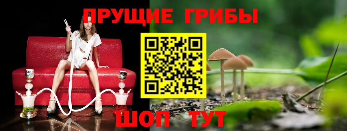 Галлюциногенные грибы Psilocybe  Галлюциногенные грибы ЛСД  Лобня 