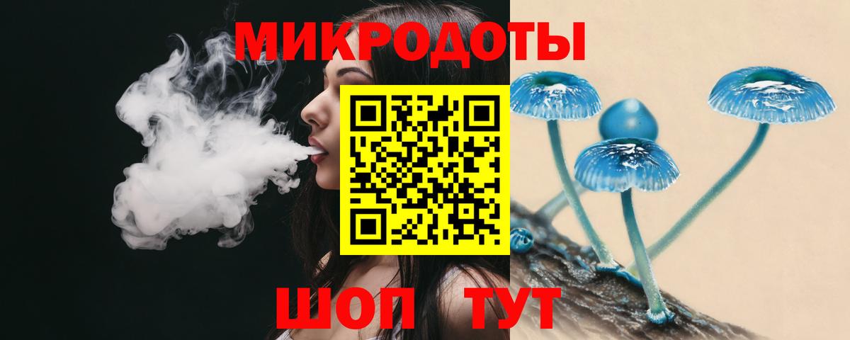 Псилоцибиновые грибы мицелий Лобня